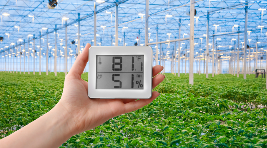 cch2o-vpd-humidity-control-for-crops