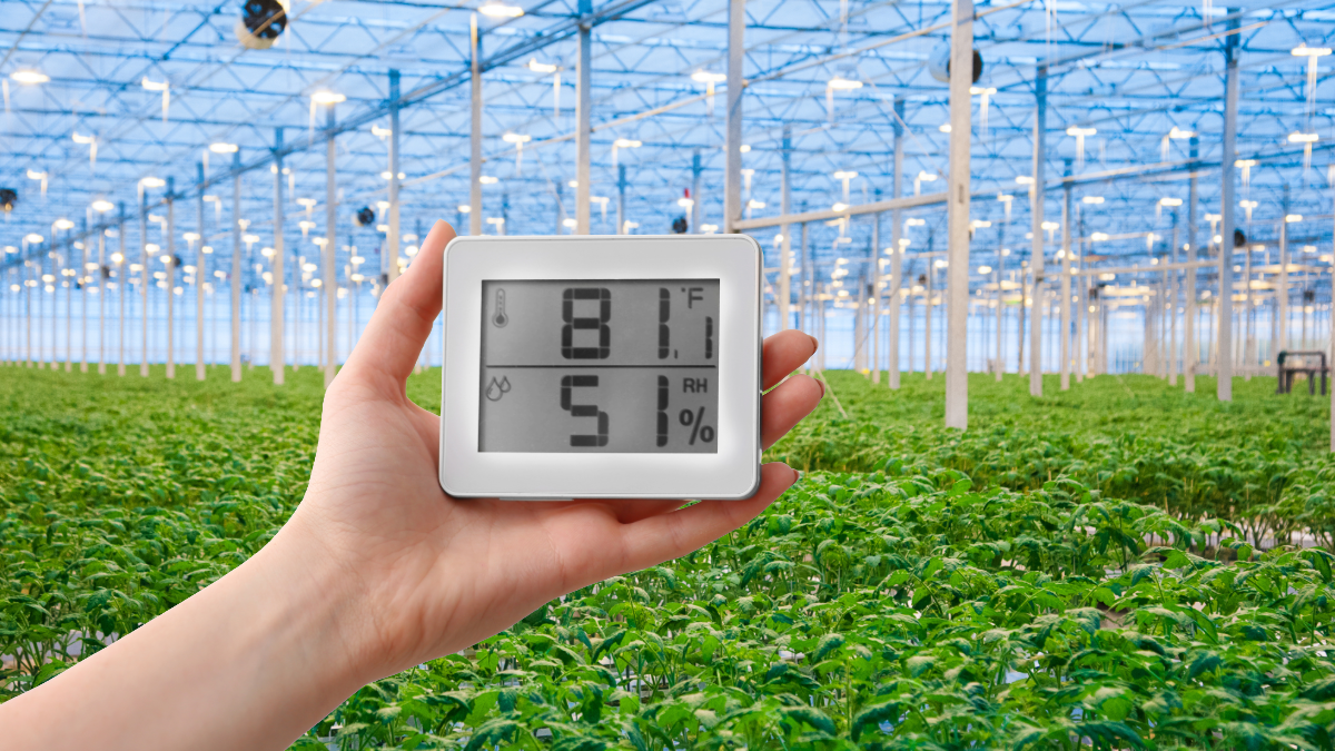 cch2o-vpd-humidity-control-for-crops
