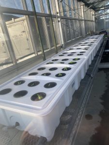 commercial aeroponics