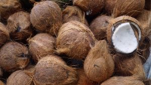 raw coconuts for coconut coir fibre