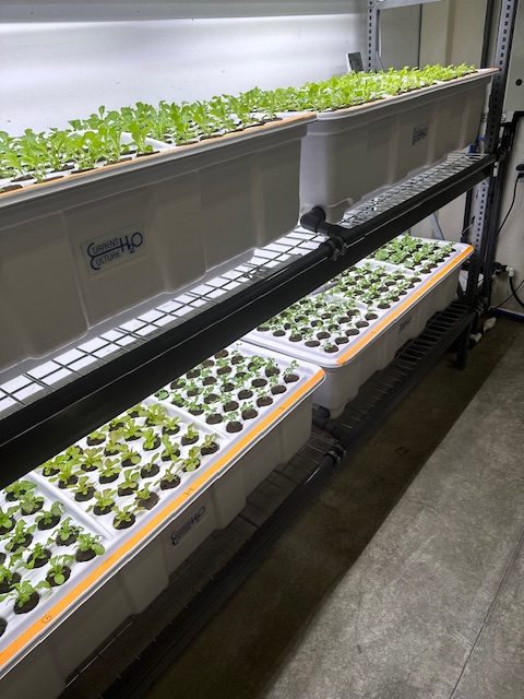 high pressure aeroponics propagation system vegetable seedlings