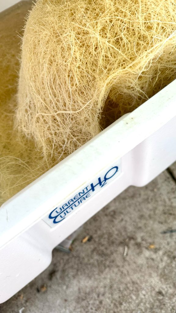 dwc-root-system-hydroponics-system-educational