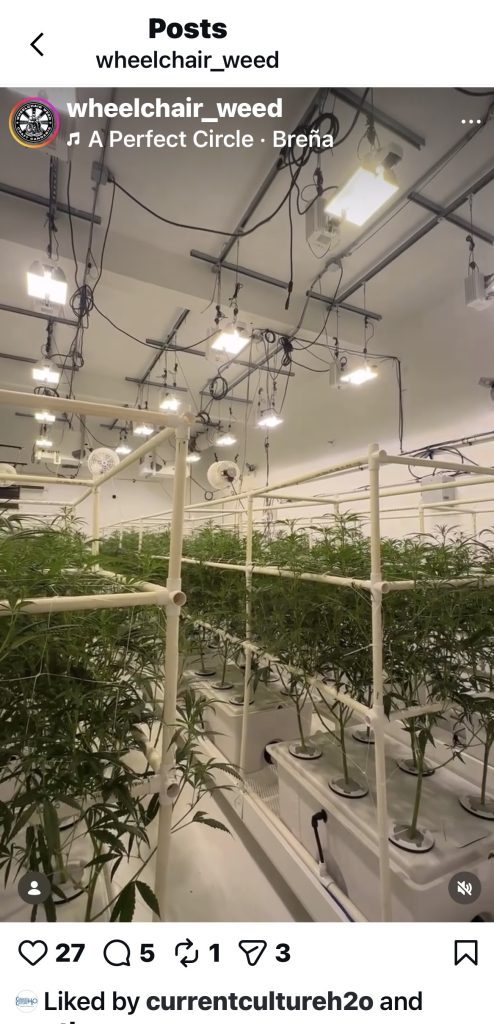 wheelchair-weed-instagram-rdwc-systems